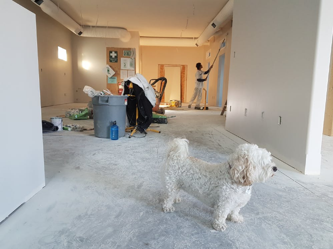 Benefits of Hiring House Cleaning Services